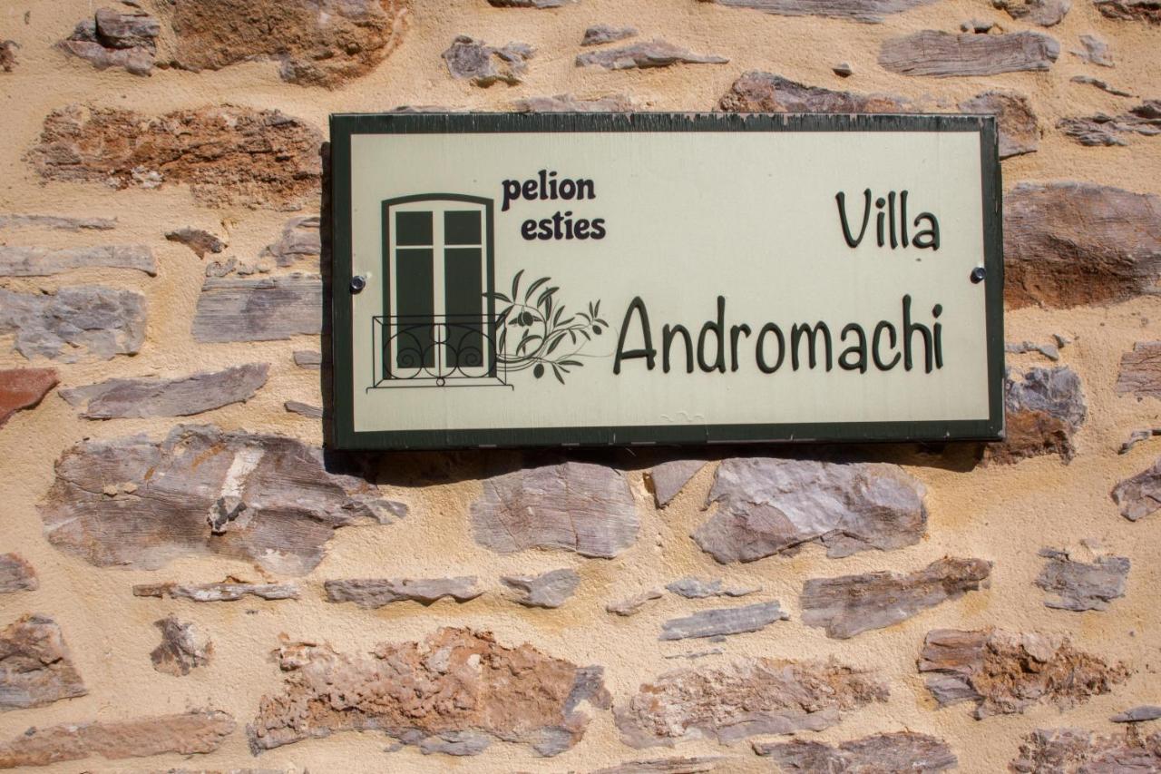 Villa Andromachi By Pelion Esties Ano Gatzea Exteriér fotografie